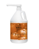 WEN by Chaz Dean Blessing One Gallon Cleansing Conditioner