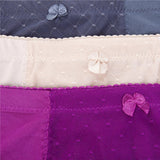 Rhonda Shear "Pin-Up" Lace Control Brief 3 Pack