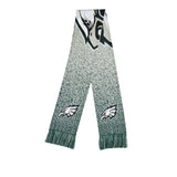 Officially Licensed NFL Big Logo Knit Scarf-Philadelphia Eagles