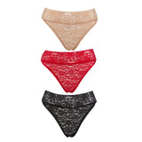 Rhonda Shear Lace Cheeky Bikini Brief 3-pack neutrals set