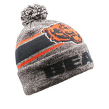Officially Licensed NFL LightUp Beanie by Team Beans-Chicago Bears