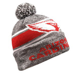 Officially Licensed NFL LightUp Beanie by Team Beans-Arizona Cardinals
