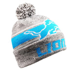 Officially Licensed NFL LightUp Beanie by Team Beans-Detroit Lions