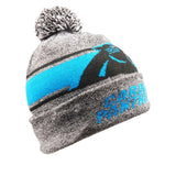 Officially Licensed NFL LightUp Beanie by Team Beans-Carolina Panthers